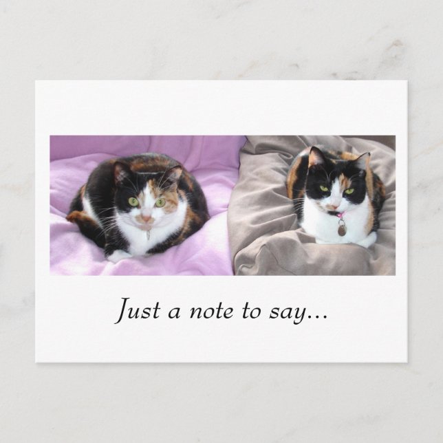 Carte Postale Juste une note à dire... (Devant)