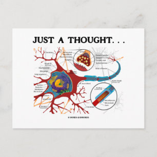 Carte Postale Juste Une Pensée... (Neuron / Synapse)