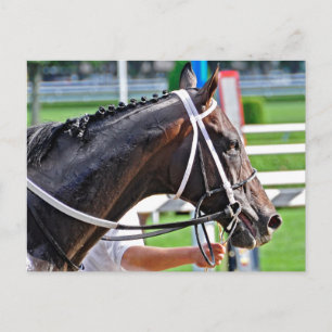 Carte Postale Justin Phillip capture le Vanderbilt