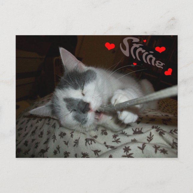 Carte Postale J'UV ma chaîne (Devant)