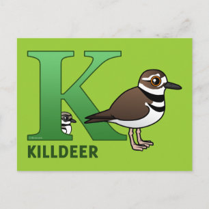 Carte Postale K est pour Killdeer