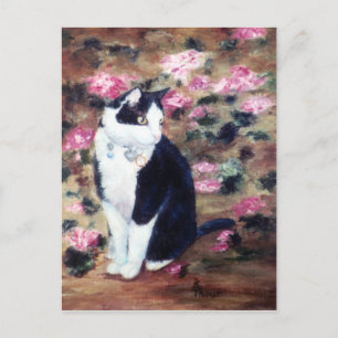 Carte postale Kaboodles Cat
