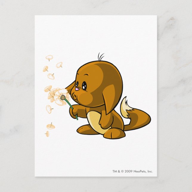 Carte Postale Kacheek Brown (Devant)