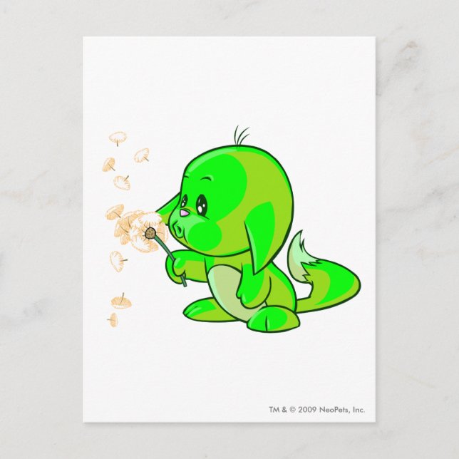 Carte Postale Kacheek Glissant (Devant)