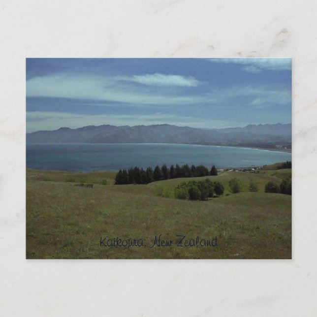 Carte Postale Kaikoura, Nouvelle-Zélande (Devant)