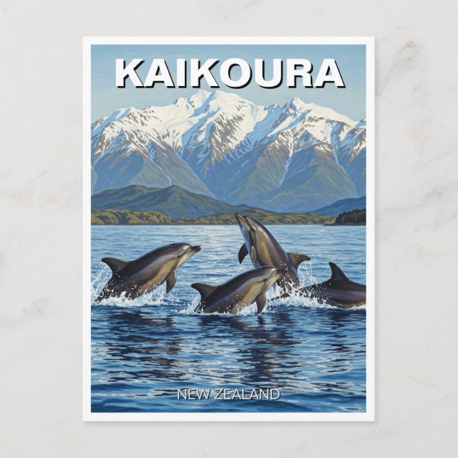 Carte Postale Kaikoura Nouvelle-Zélande Dolphins Voyage (Devant)