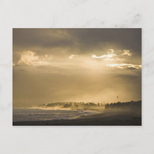 Carte Postale Kaikoura, Nouvelle-Zélande. Kaikoura est connu pou