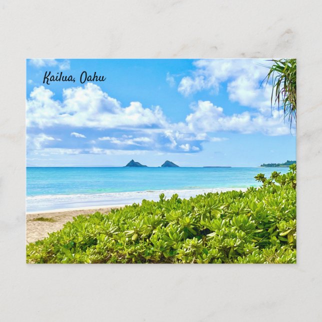 Carte Postale Kailua, Oahu (Devant)