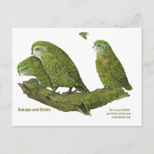 Carte Postale kakapo et poussins