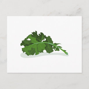 Carte Postale Kale Leaf