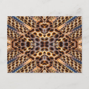 Carte Postale Kaléidoscope à plumes de faisan brun