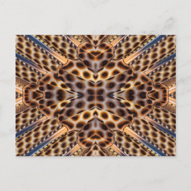 Carte Postale Kaléidoscope à plumes de faisan brun (Devant)
