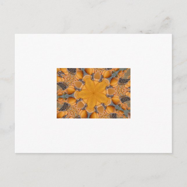 Carte Postale Kaleidoscope Citrouille orange (Devant)