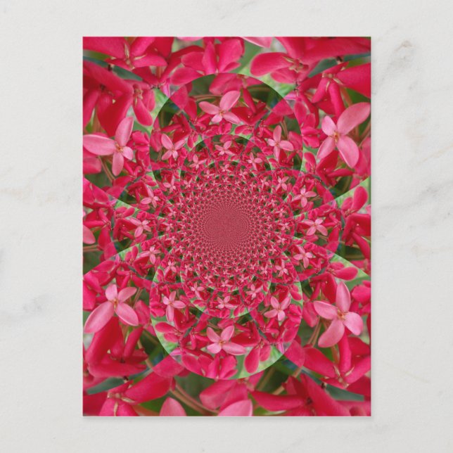 Carte Postale Kaleidoscope de Crimson : Blood Milkweed Flower Ar (Devant)