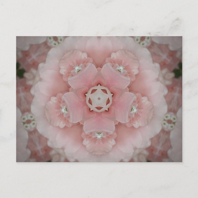 Carte Postale Kaleidoscope rose Floral (Devant)