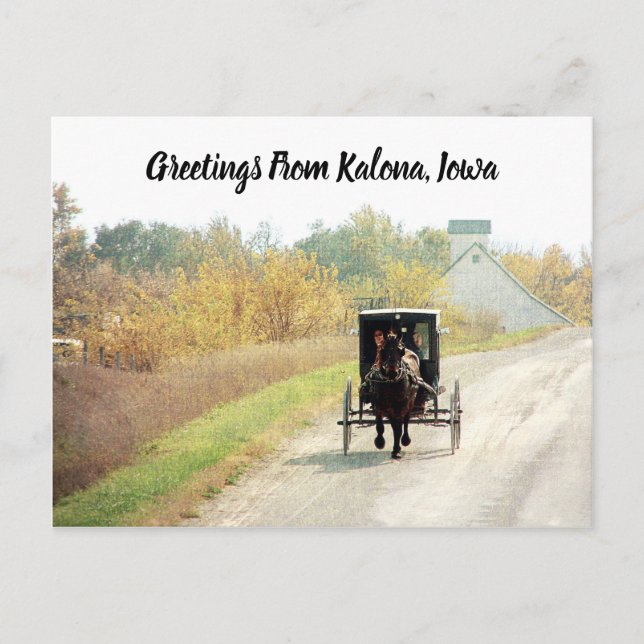 Carte Postale Kalona, Iowa Automne Amish Horse et Buggy (Devant)