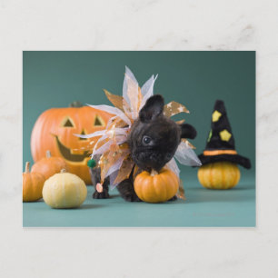 Carte Postale Kanagawa, Honshu, Japon