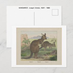Carte Postale KANAROO Joseph Scholz, 1829 - 1880