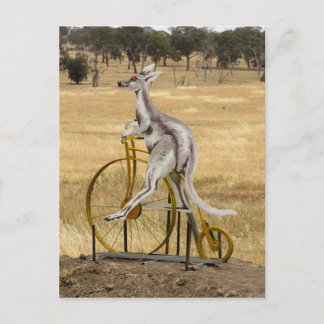 Carte Postale Kangaro Sur Roues