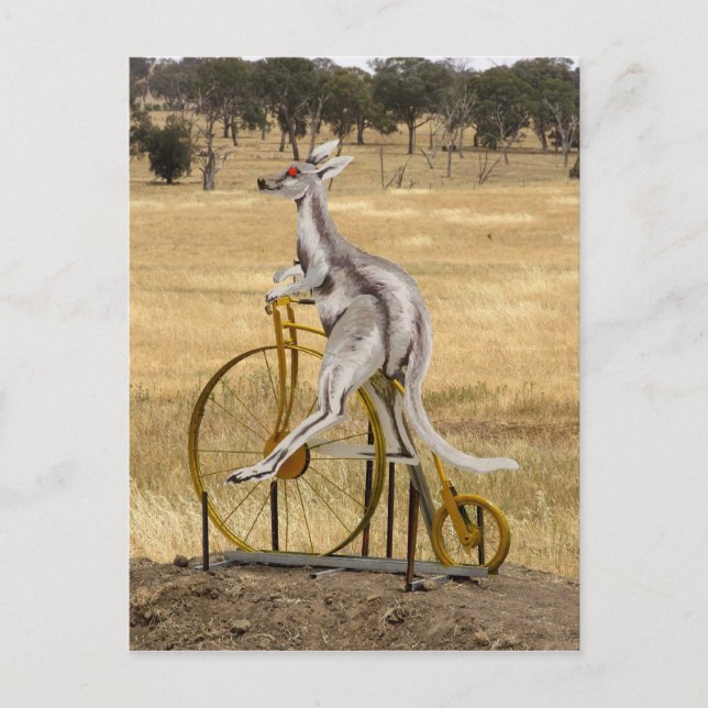 Carte Postale Kangaro Sur Roues (Devant)