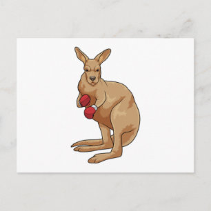Carte Postale Kangaroo en boîte avec gants de boxe
