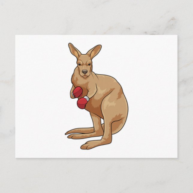Carte Postale Kangaroo en boîte avec gants de boxe (Devant)