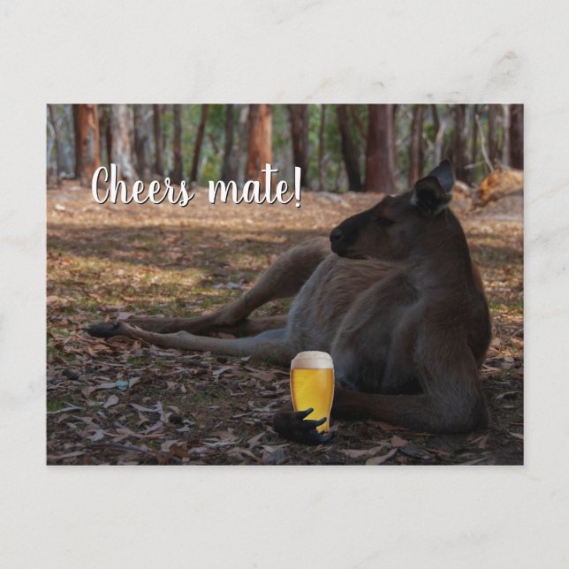 Carte Postale Kangaroo Relaxer avec la bière Australie Drôle (Devant)