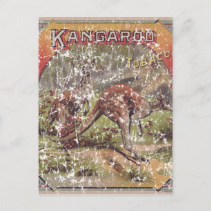 Carte Postale Kangaroo Tobacco 1900