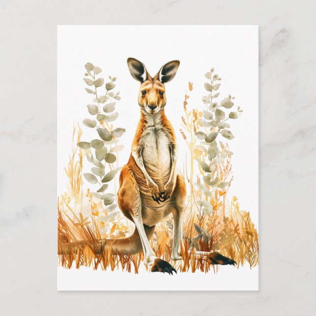 Carte Postale Kangourou à l'aquarelle dans une prairie (Devant)