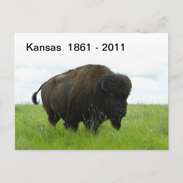 Carte Postale Kansas 1861 - 2011 (Devant)