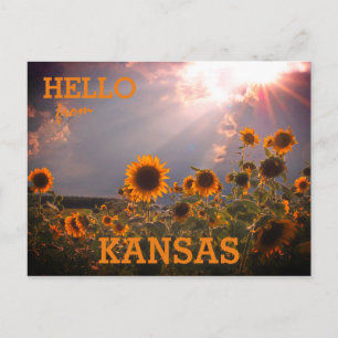 Carte Postale Kansas Sunflower Salutations