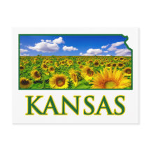 Kansas Sunflower Sky