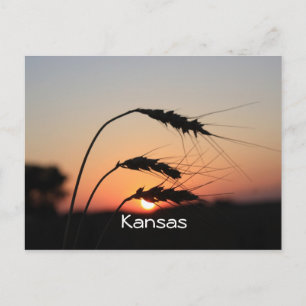 Carte postale Kansas Sunset