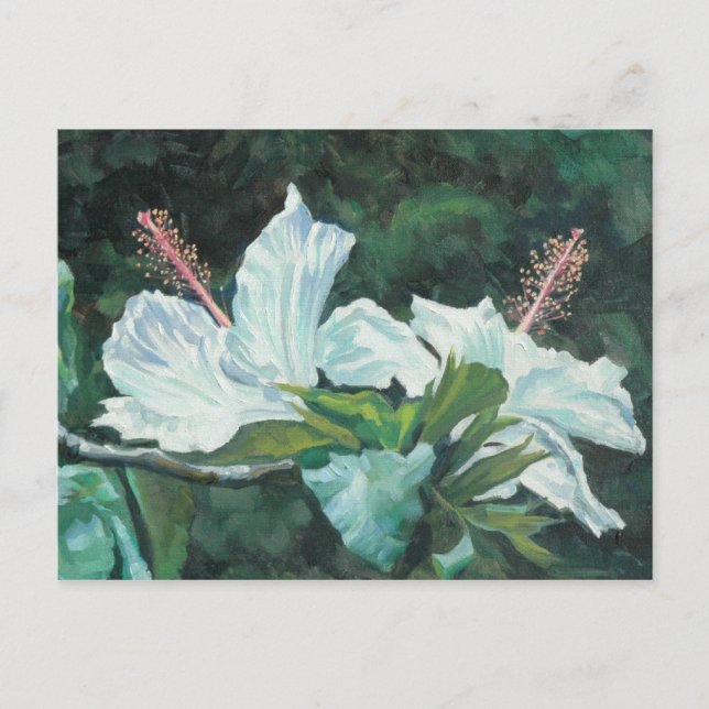 Carte Postale Kao Kao 5 (Devant)