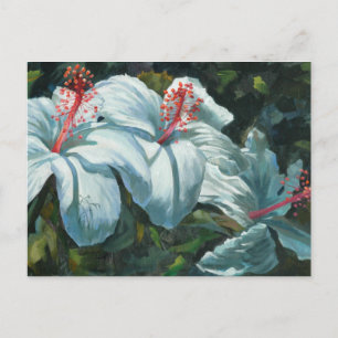 Carte Postale Kao Kao 6