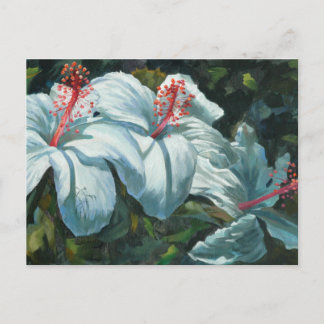 Carte Postale Kao Kao 6