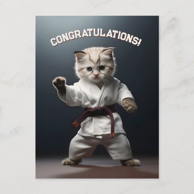 Carte Postale Karate Kitten (Devant)