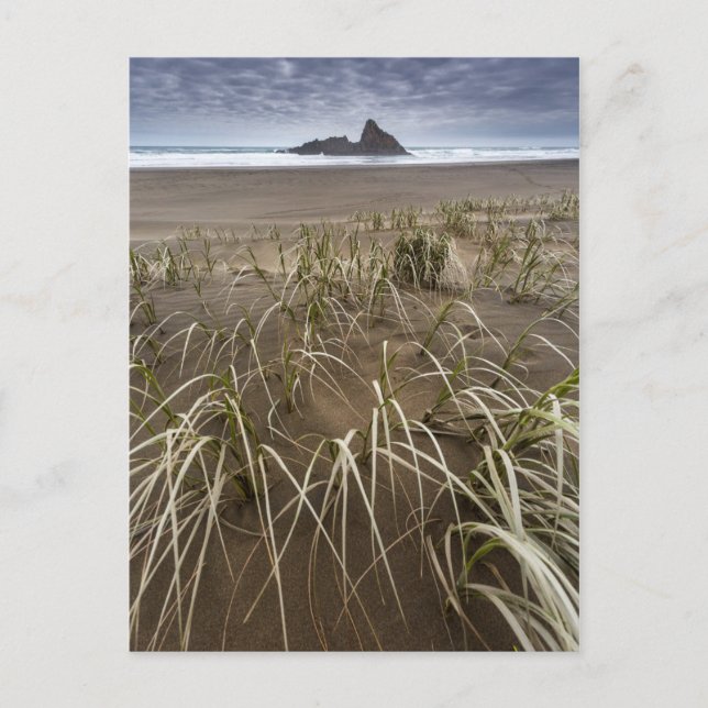 Carte Postale Karekare Beach | Panatahi Island, West Coast (Devant)