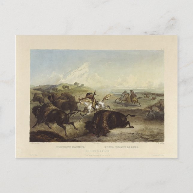 Carte Postale Karl Bodmer- Des Indiens chassent le bison (Devant)