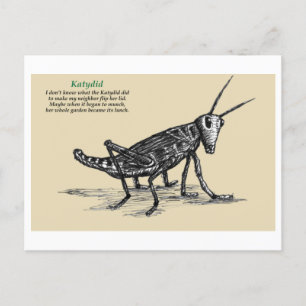 Carte Postale Katydid 