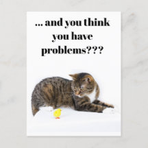 Carte postale Katze schaut "Küken" un Humour schwa