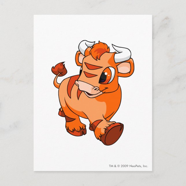 Carte Postale Kau Orange (Devant)