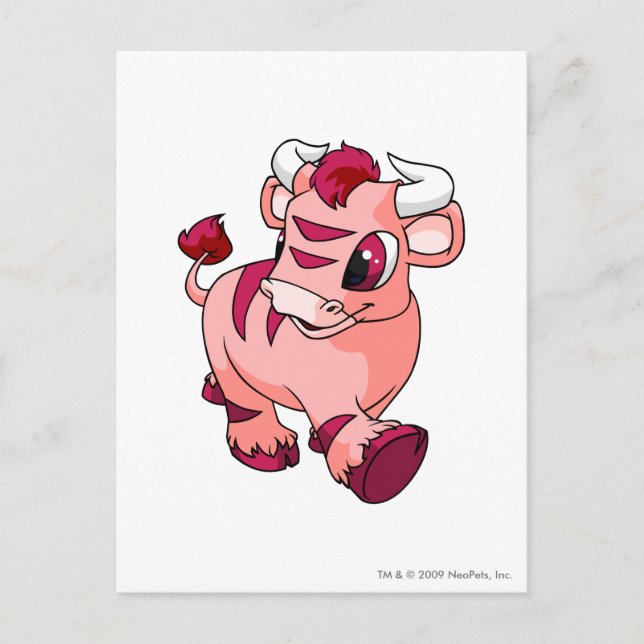 Carte Postale Kau rose (Devant)