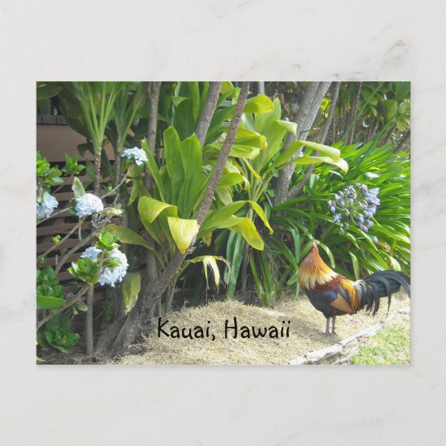Carte Postale Kauai, Hawaï (Devant)