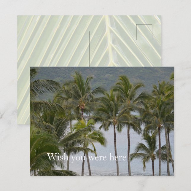 Carte Postale Kauai Hawaii Lihue Palm Trees Océan (Devant / Derrière)