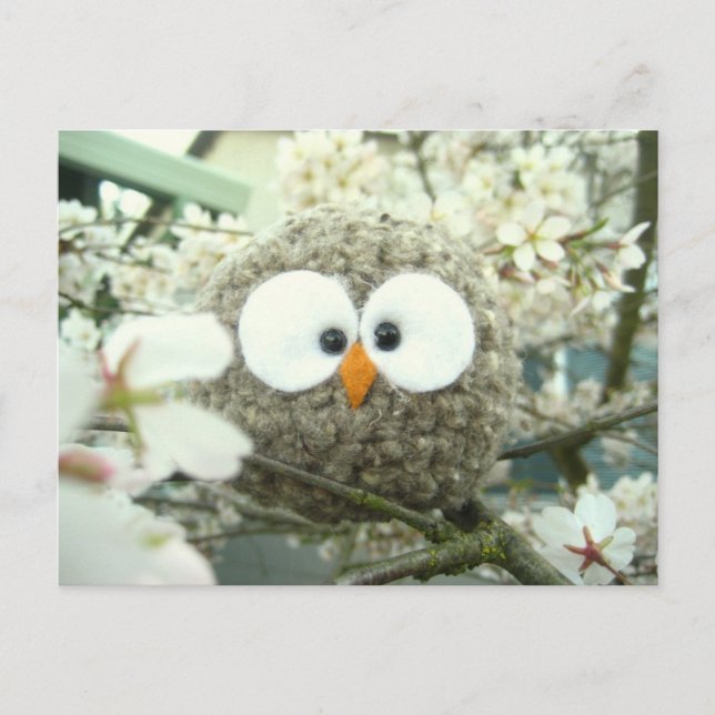 Carte Postale Kawaii Oliver le hibou (Devant)