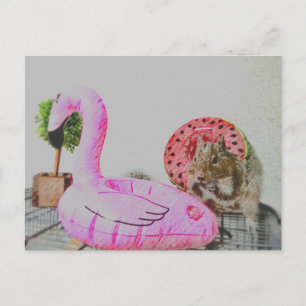 Carte Postale Kawaii ♡ petit animal
