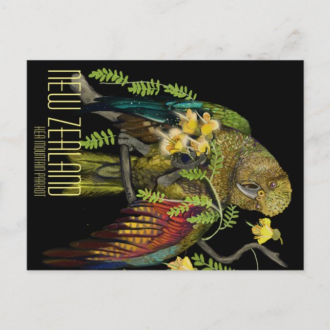 Carte Postale Kea New Zealand Mountain Parrot (Devant)