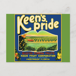 Carte Postale Keen's Pride Frostproof Florida Étiquette