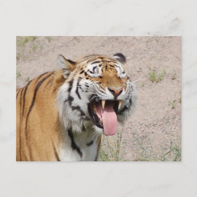 Carte Postale Keep Smiling Postcard (Devant)